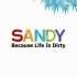 Sandy-wipes-300x250[1]