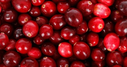 cranberries-22024_1280