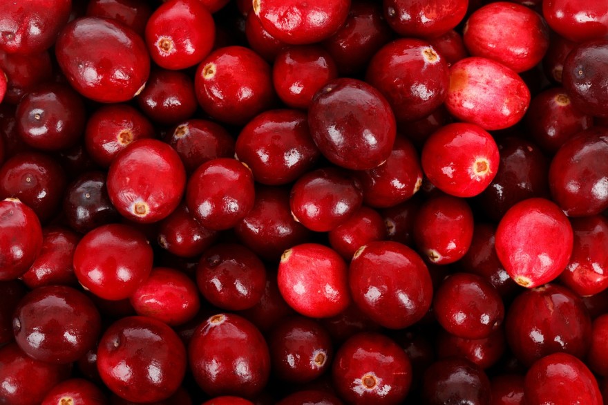 cranberries-22024_1280
