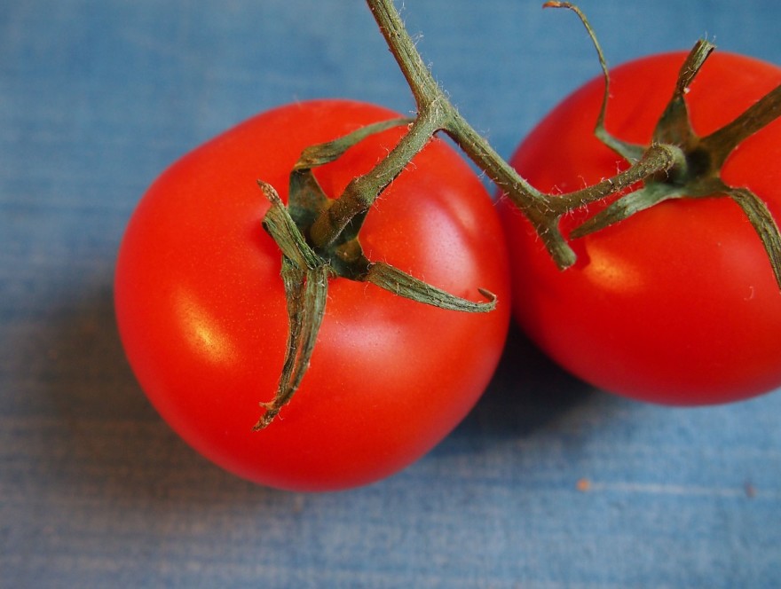 tomato-681149_1280