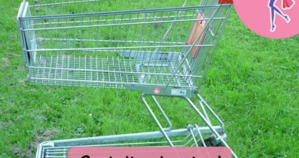 Catchy freebie template shopping cart