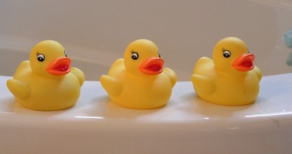 rubber-duckies-14614_640