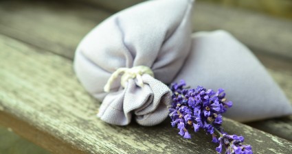 lavender-823584_1280