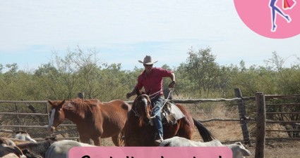 Catchy freebie template cowboy