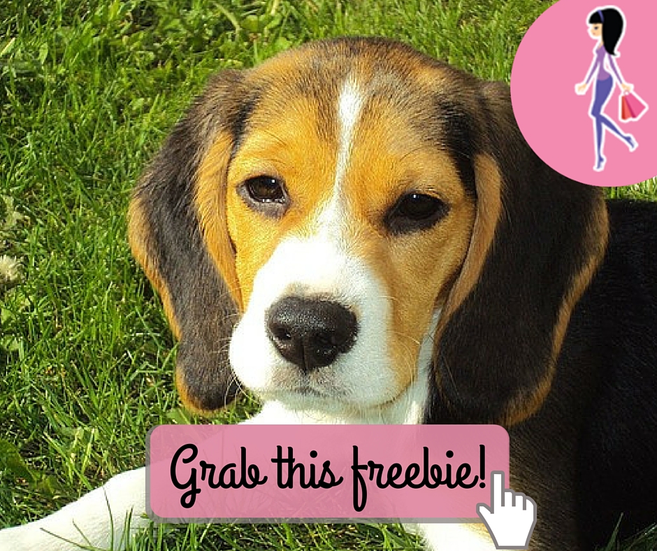 Alpo Meal Helpers Sample