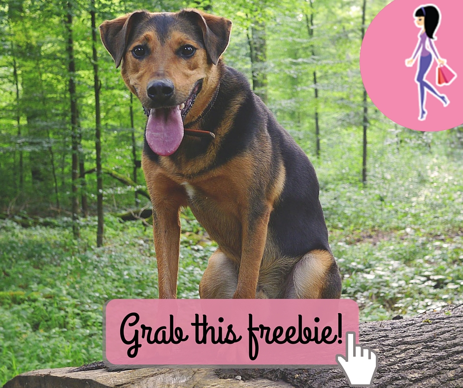 Purina Dog Food Coupon