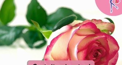 Catchy freebie template rose