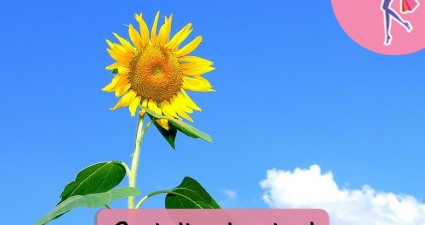 Catchy freebie template sunflower