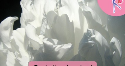 Catchy freebie template white flower