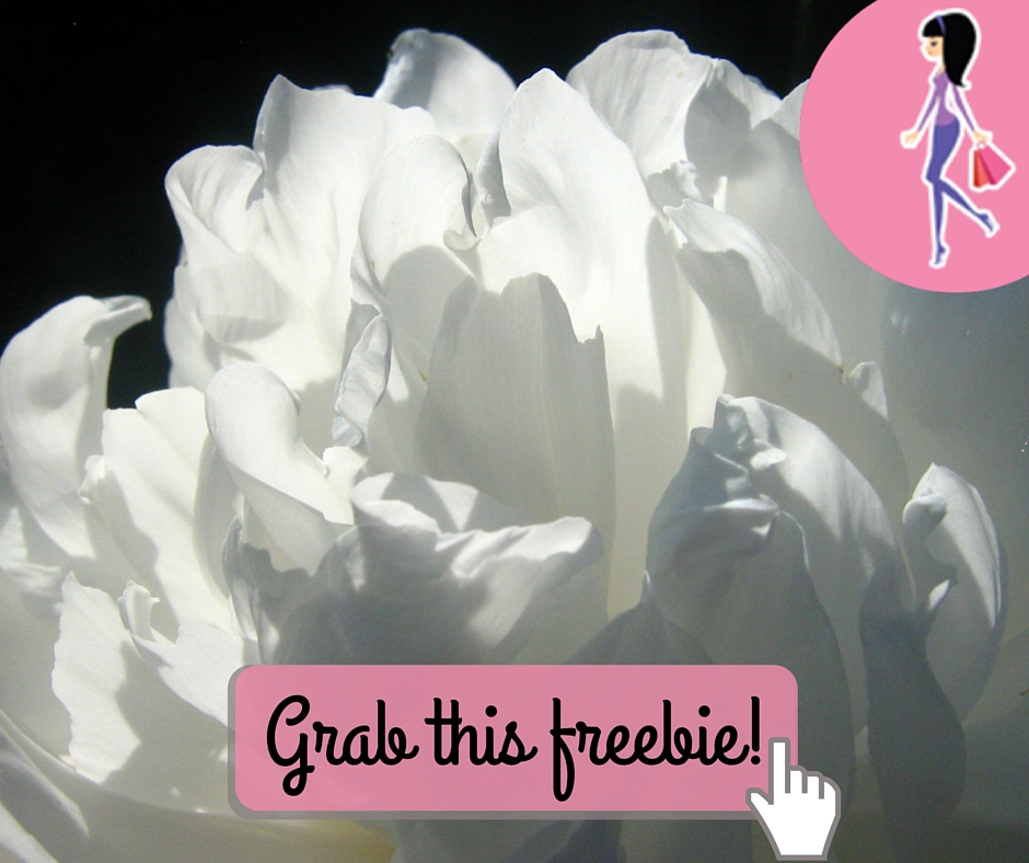 Free Dolce & Gabbana Fragrance Sample