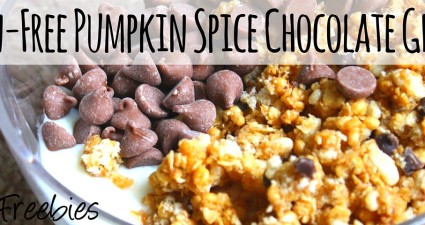 gf dairyfree pumpkin spice chocolate granola