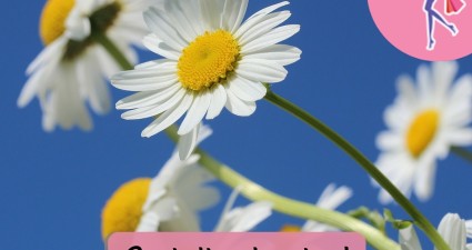 Catchy freebie template daisies