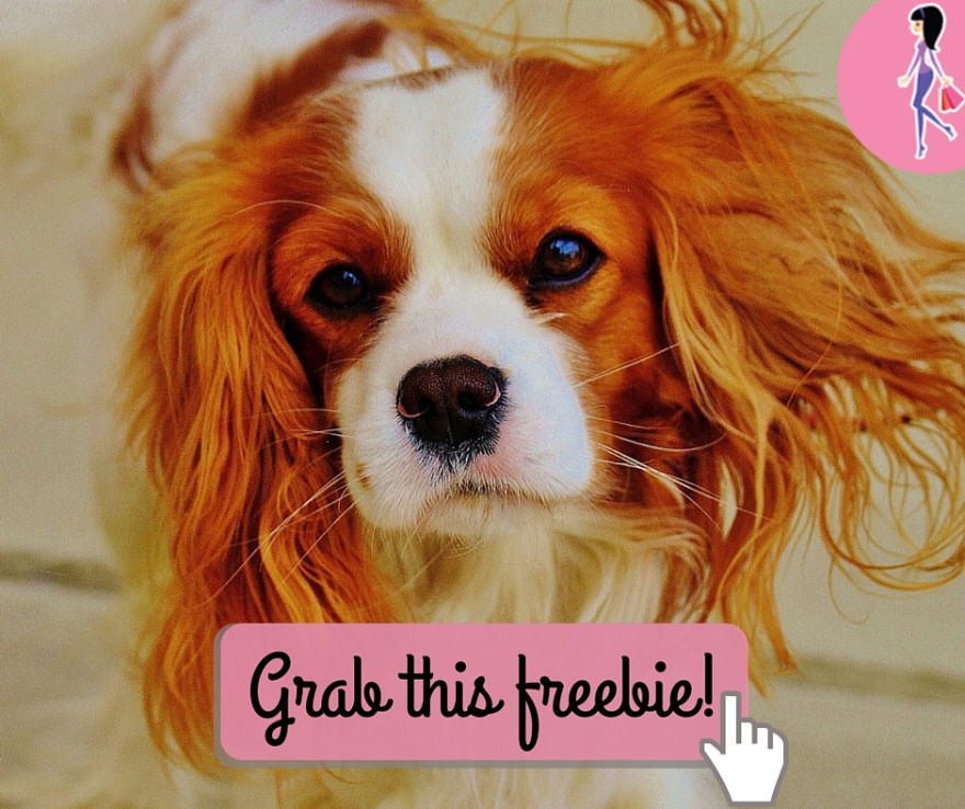 Catchy freebie template cute dog