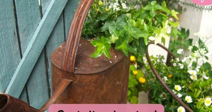 Catchy freebie template gardening