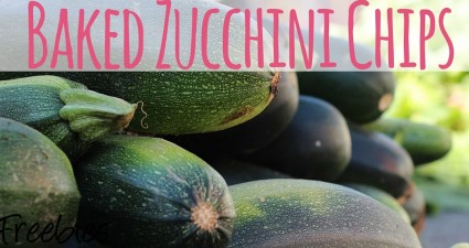 baked zucchini chips recipe catchyfreebies