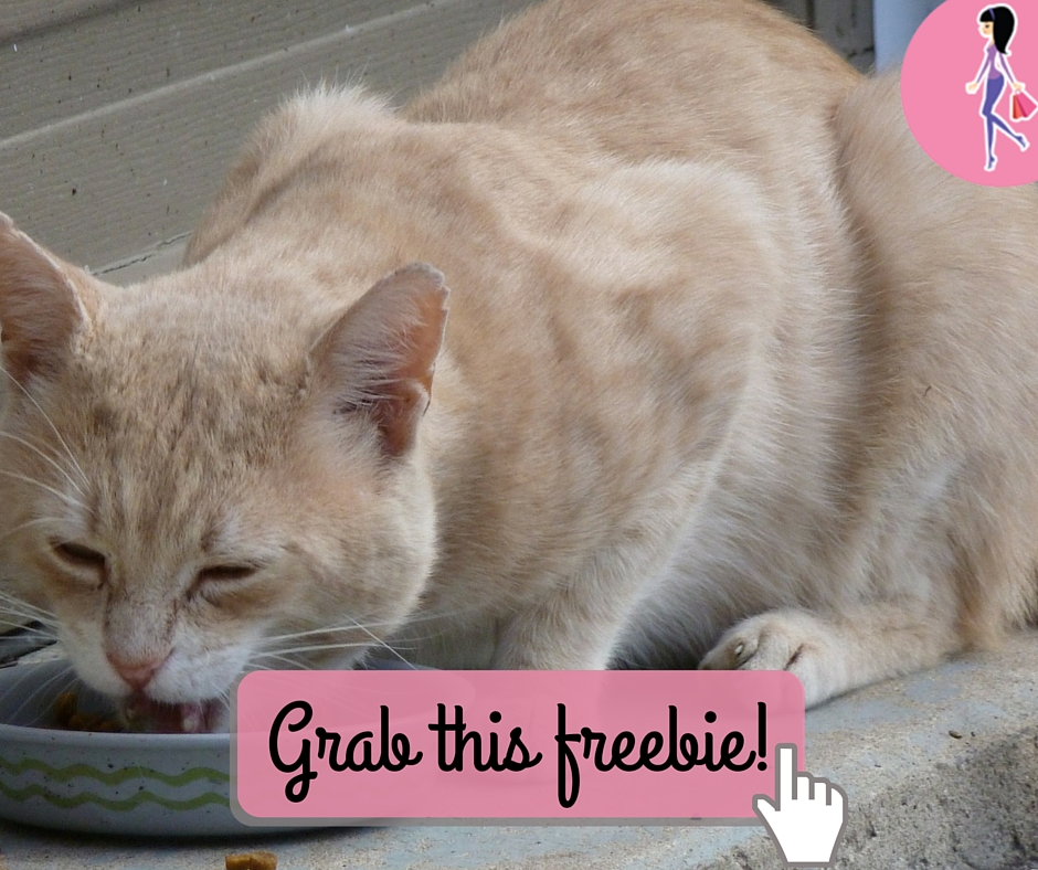 Fancy Feast Medleys Sample