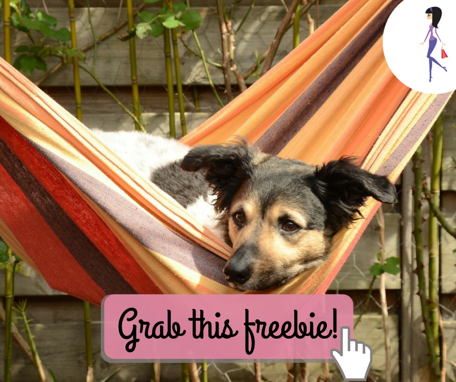 Rachael Ray Pet Food Coupons