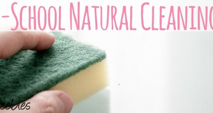 traditional natural cleaning tips throwbackthursday catchyfreebies