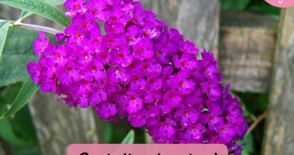 Catchy freebie template (72)