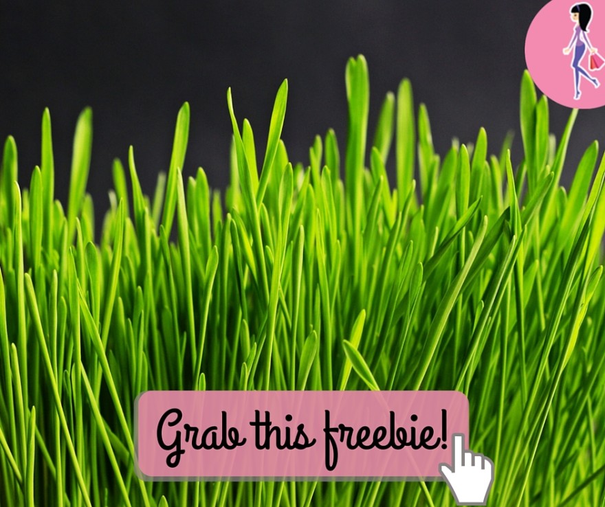 Catchy freebie template grass