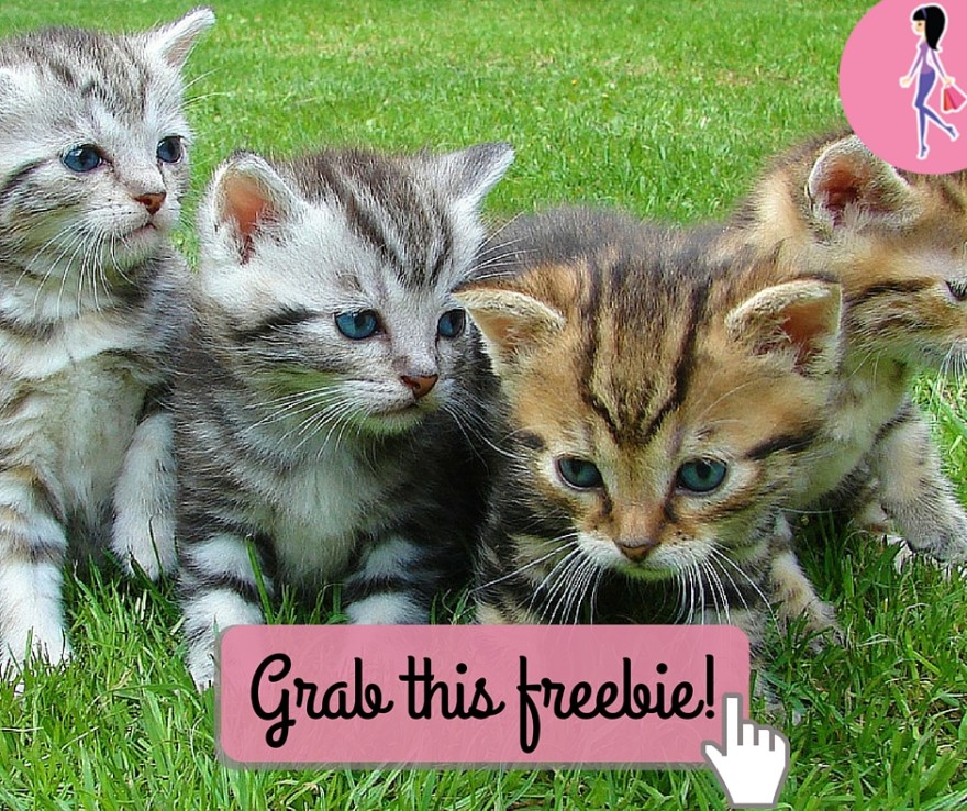 Catchy freebie template kittens