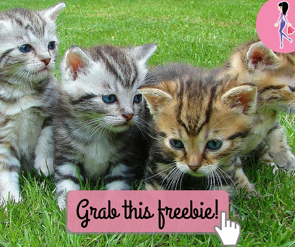 Fancy Feast Broths Sample