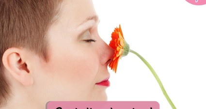 Catchy freebie template nose