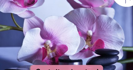 Catchy freebie template orchids
