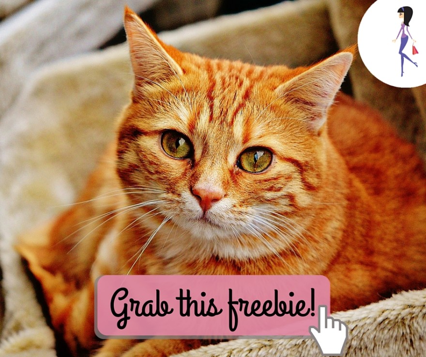 CatchyFreebies sample (10)