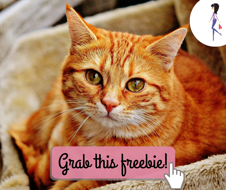 Purina Cat Food Sample