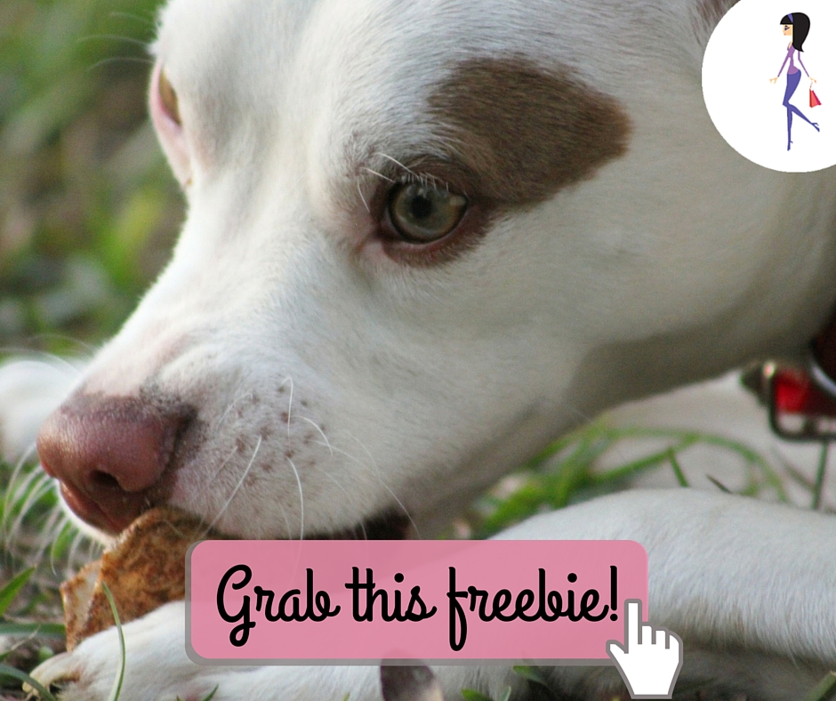 Purina Dog Food Coupon