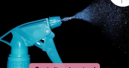 CatchyFreebies sample (100)