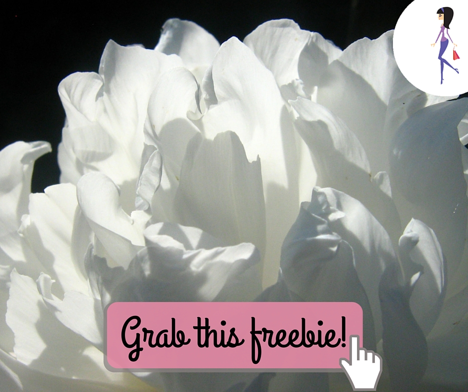 Free Dolce & Gabbana Fragrance Sample