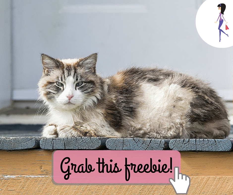 Fancy Feast Medleys Sample