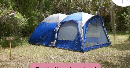 CatchyFreebies sample (8)