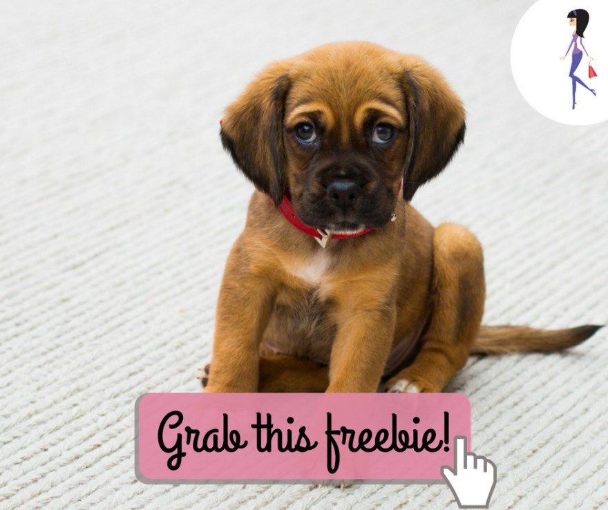 CatchyFreebies sample (26)