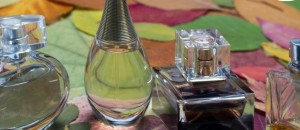 CatchyFreebies sample (41)