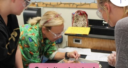 CatchyFreebies sample (44)