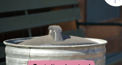 CatchyFreebies sample