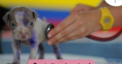 CatchyFreebies sample (52)