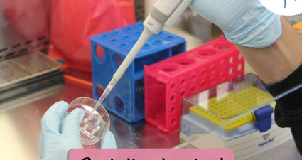 CatchyFreebies sample (74)