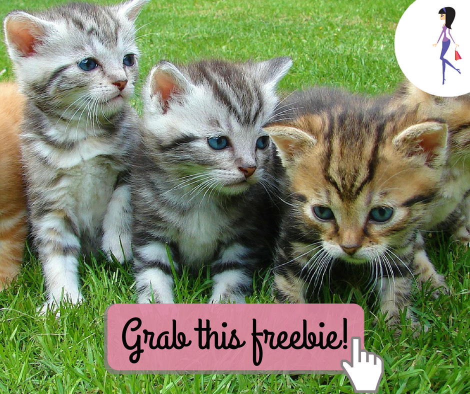 Purina Cat Food Sample