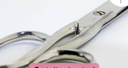 CatchyFreebies sample