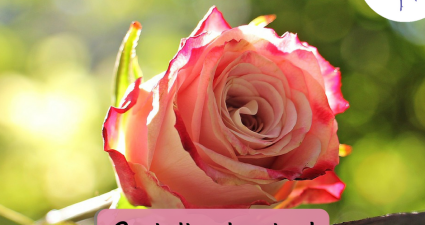 CatchyFreebies sample