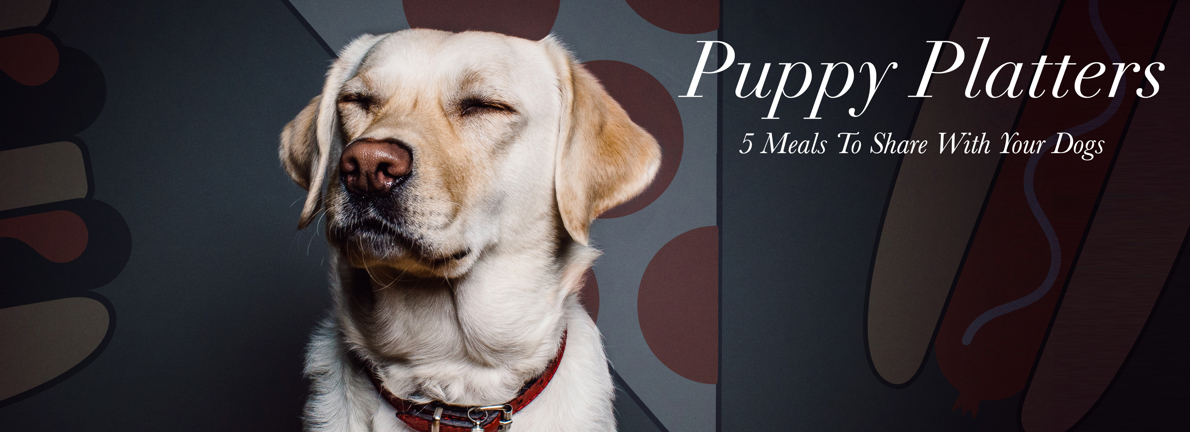 Puppy Platters: 5 Meals To Share With Your Dogs