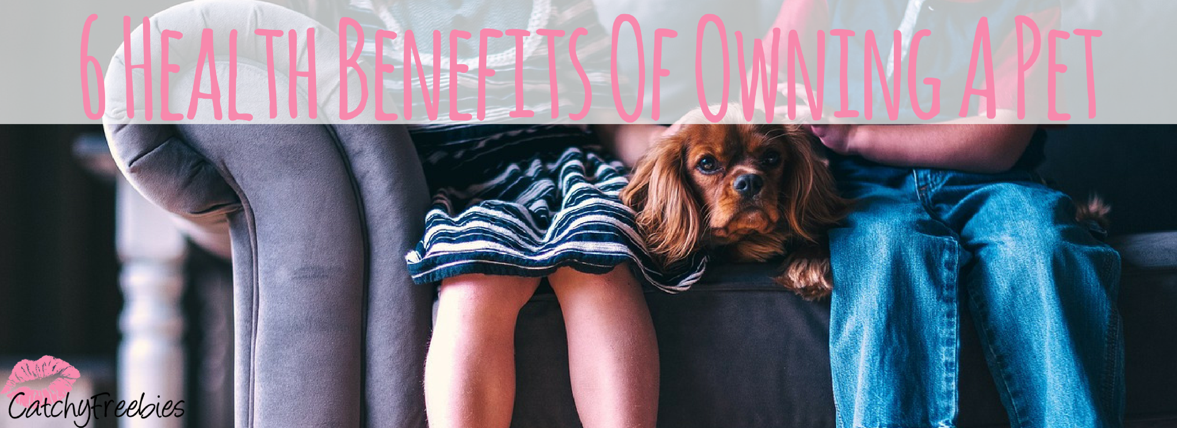 6 Health Benefits Of Having A Pet