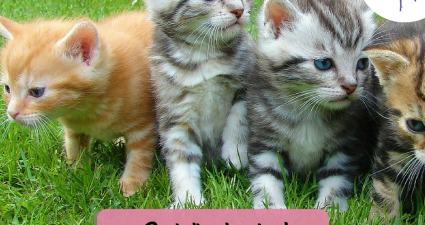 CatchyFreebies sample (52)