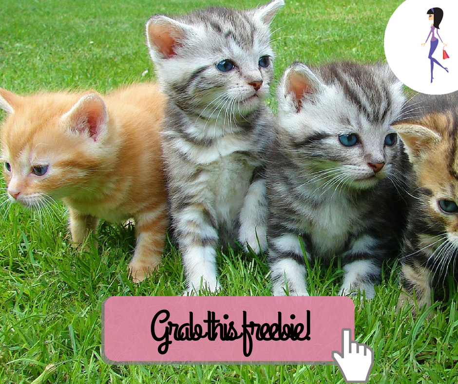 Fancy Feast Broths Sample