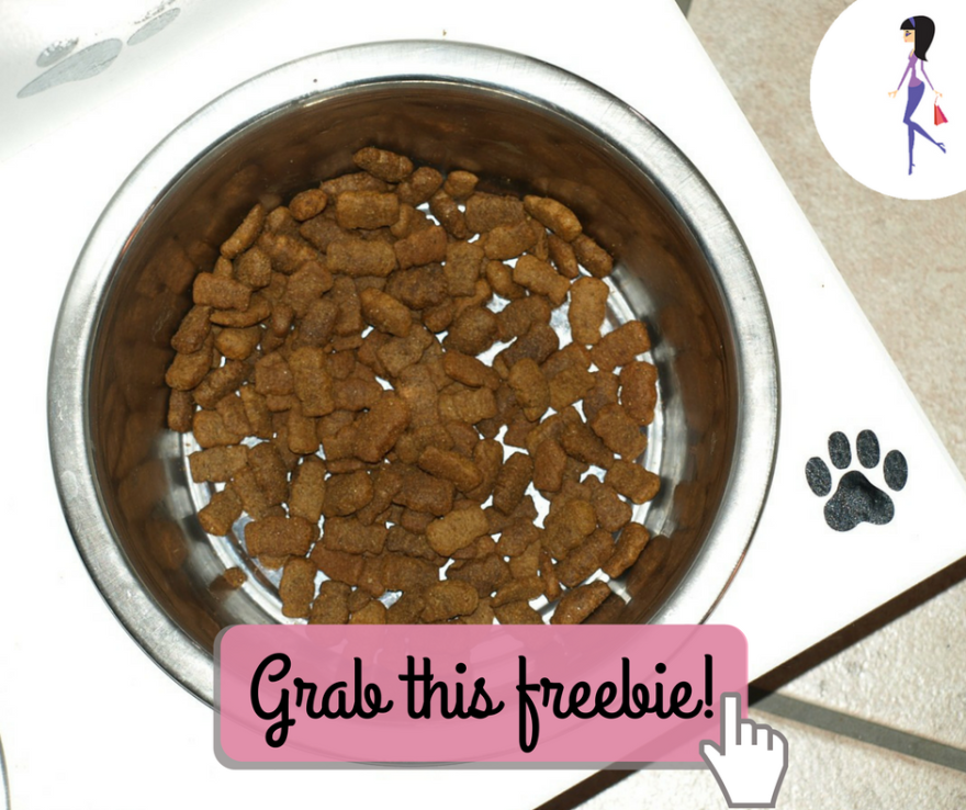 CatchyFreebies sample (4)