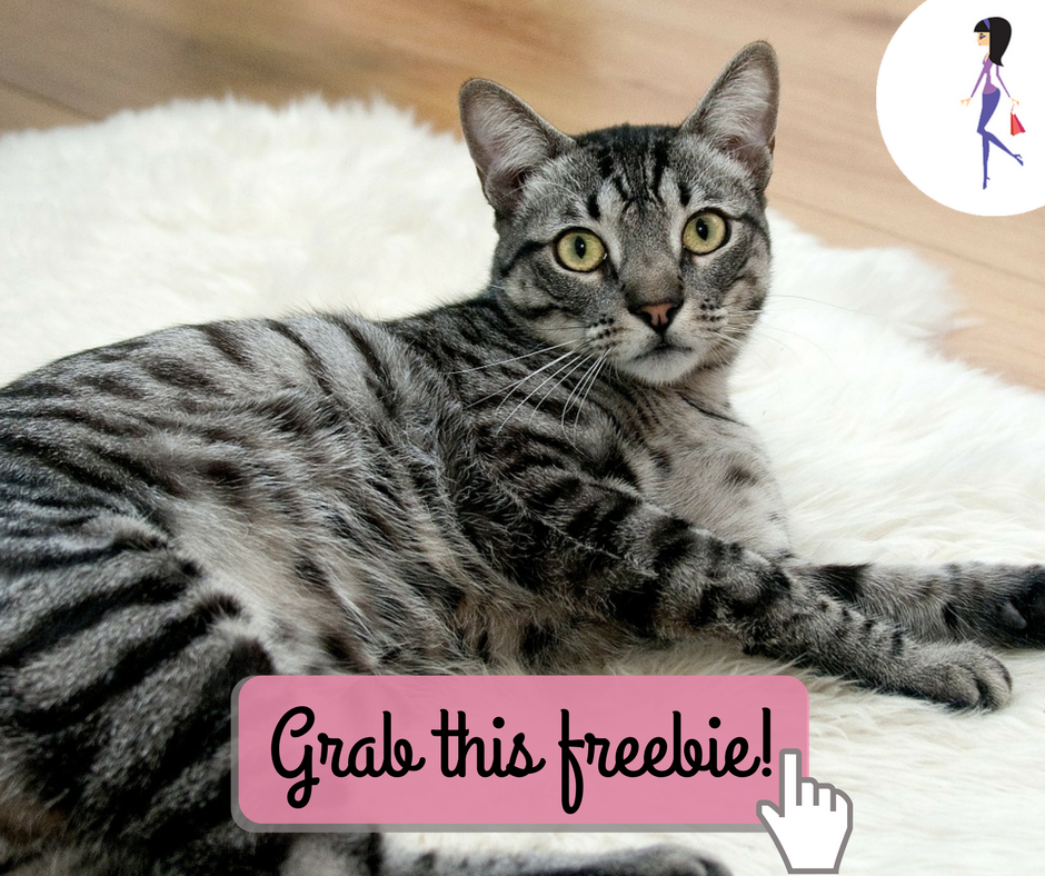 Dr. Elsey's Cat Litter Rebate CatchyFreebies